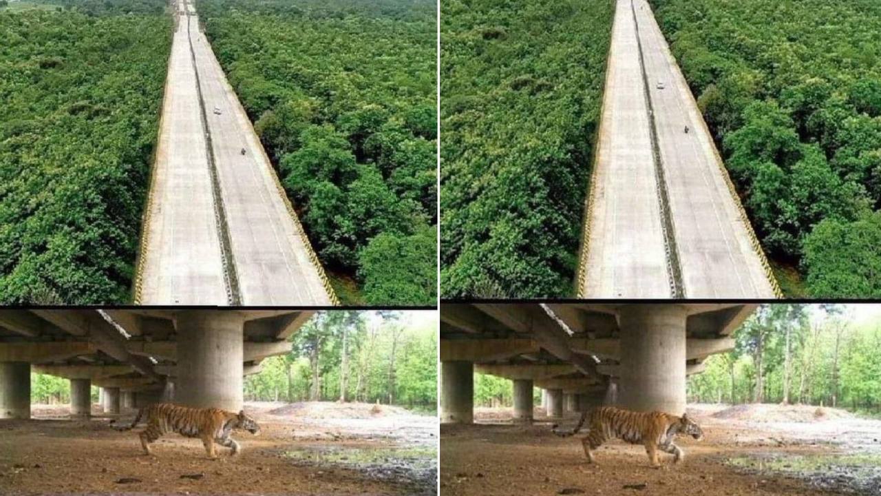 భారత్లో ఈ హైవేను నిర్మించిన తీరుపై ఆశ్చర్యం వ్యక్తం చేసిన ఆనంద్ మహీంద్ర భారత్లో ఈ హైవేను నిర్మించిన తీరుపై ఆశ్చర్యం వ్యక్తం చేసిన ఆనంద్ మహీంద్ర