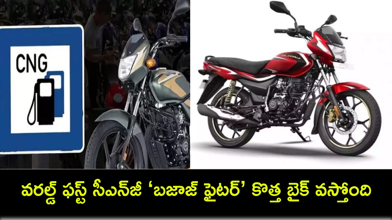 Bajaj Fighter CNG Bike : ప్రపంచంలోనే ఫస్ట్ సీఎన్జీ ‘బజాజ్ ఫైటర్’ కొత్త బైక్ వస్తోంది.. ఏయే ఫీచర్లు ఉండొచ్చుంటే? Bajaj Fighter CNG Bike : ప్రపంచంలోనే ఫస్ట్ సీఎన్జీ ‘బజాజ్ ఫైటర్’ కొత్త బైక్ వస్తోంది.. ఏయే ఫీచర్లు ఉండొచ్చుంటే?