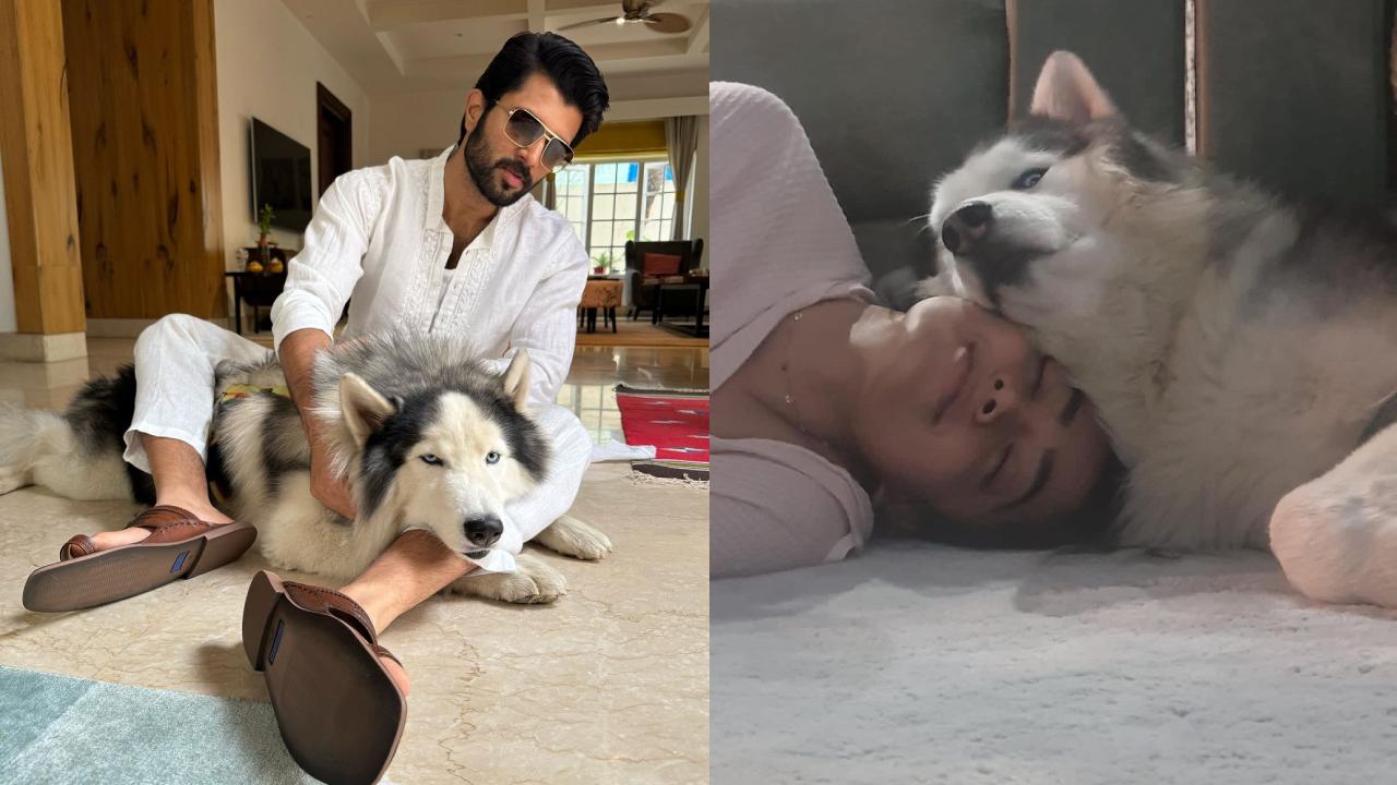 Vijay – Rashmika : విజయ్ దేవరకొండ పెట్ డాగ్తో రష్మిక స్పెషల్ ఫొటో.. వైరల్ అవుతున్న ఫొటో.. Vijay – Rashmika : విజయ్ దేవరకొండ పెట్ డాగ్తో రష్మిక స్పెషల్ ఫొటో.. వైరల్ అవుతున్న ఫొటో..