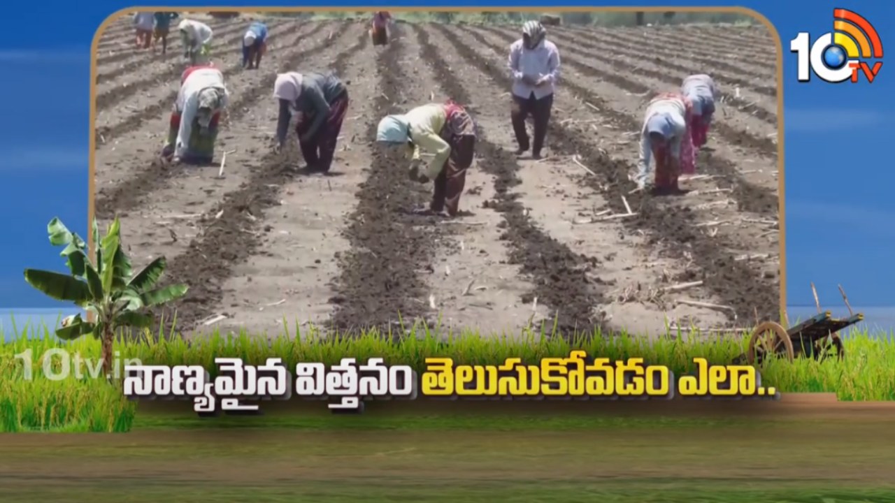 Best Quality Seeds : నాణ్యమైన విత్తనం తెలుసుకోవడం ఎలా? ఖరీఫ్ సాగుకు సన్నద్ధమవుతున్న రైతులు Best Quality Seeds : నాణ్యమైన విత్తనం తెలుసుకోవడం ఎలా? ఖరీఫ్ సాగుకు సన్నద్ధమవుతున్న రైతులు