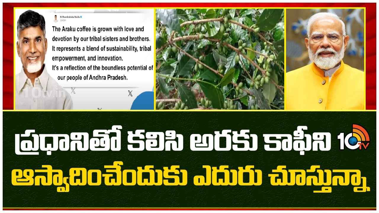 అరకు కాఫీపై ప్రధాని మోదీ ప్రశంసలు.. సీఎం చంద్రబాబు ఏమన్నారంటే.. అరకు కాఫీపై ప్రధాని మోదీ ప్రశంసలు.. సీఎం చంద్రబాబు ఏమన్నారంటే..