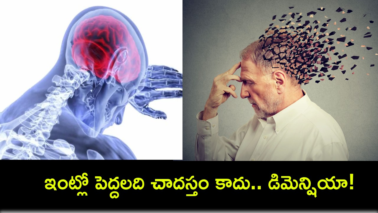 Dementia : అది పెద్దల చాదస్తం కాదు.. డిమెన్షియో.. మెదడులో నీరు చేరినా చికిత్సతో నయం చేయొచ్చు! Dementia : అది పెద్దల చాదస్తం కాదు.. డిమెన్షియో.. మెదడులో నీరు చేరినా చికిత్సతో నయం చేయొచ్చు!