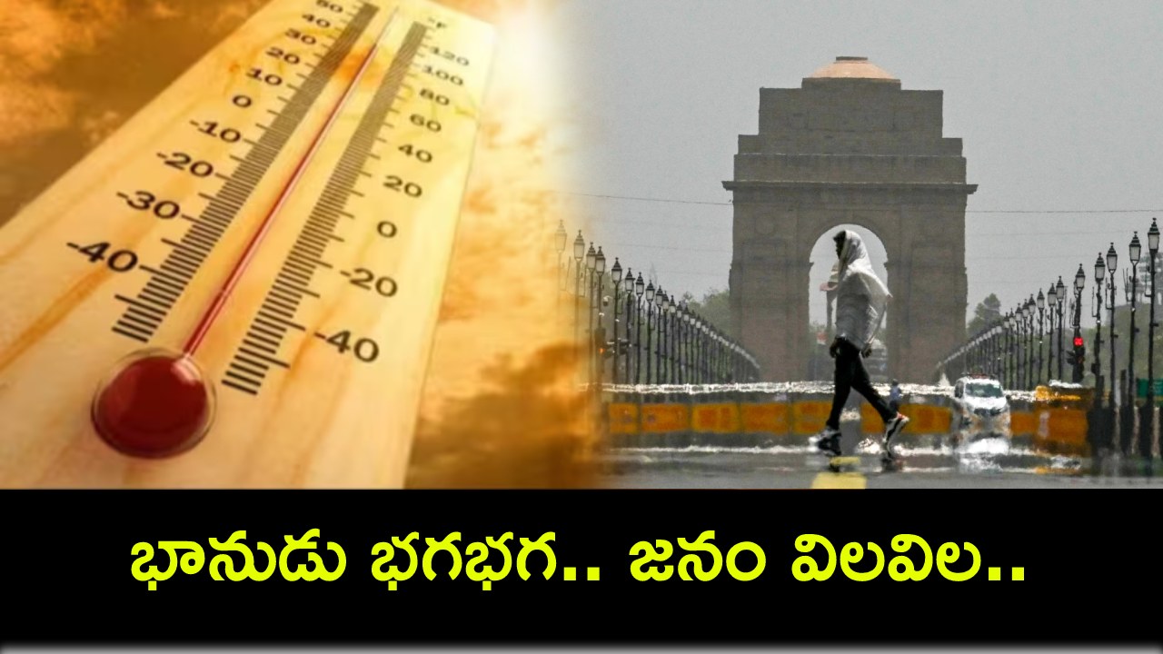 Extreme Heat Waves India : ఢిల్లీలో ఎండ దెబ్బకు పిట్టల్లా రాలుతున్న జనం.. 192 మంది నిరాశ్రయులు మృతి Extreme Heat Waves India : ఢిల్లీలో ఎండ దెబ్బకు పిట్టల్లా రాలుతున్న జనం.. 192 మంది నిరాశ్రయులు మృతి