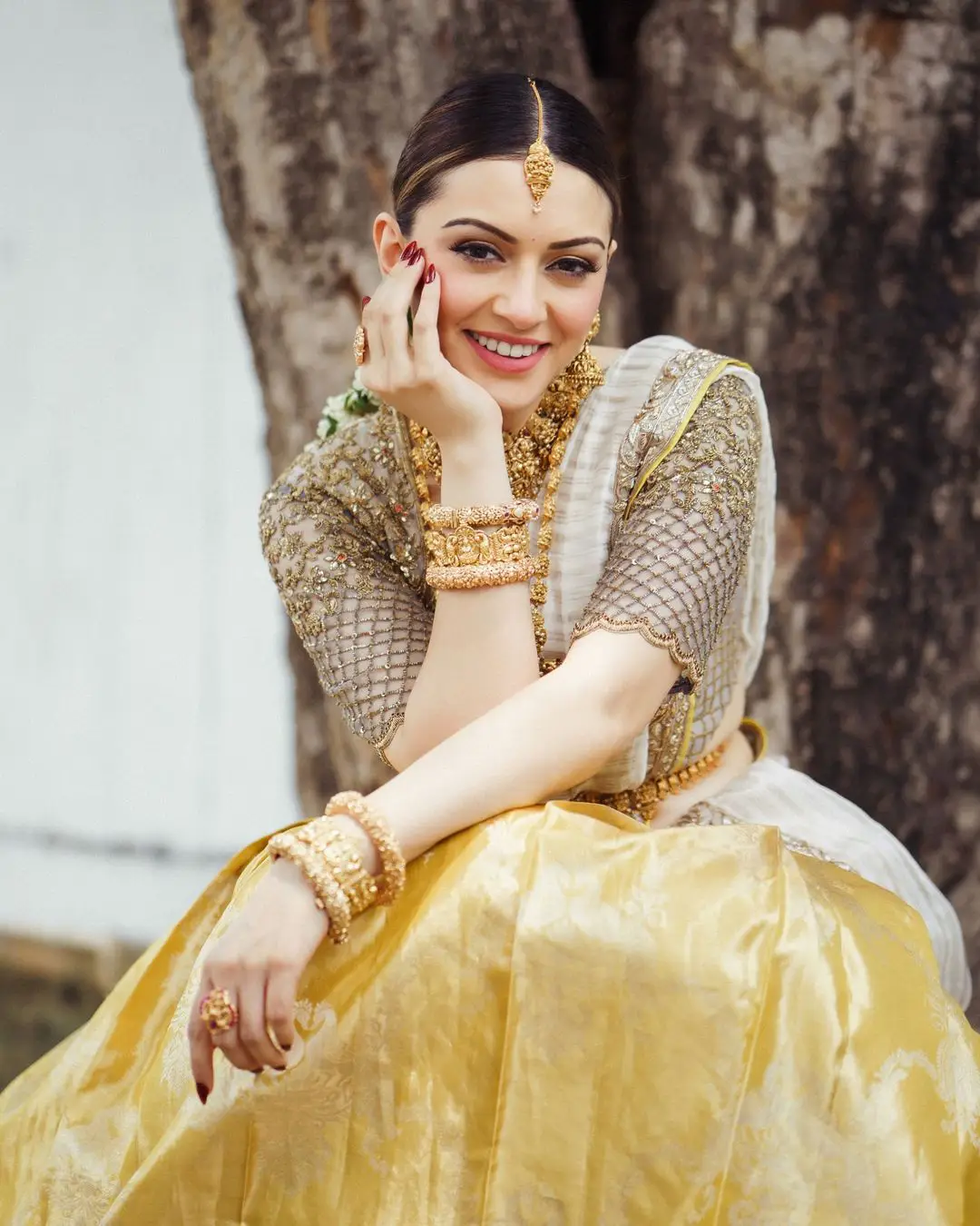 Hansika Motwani Cute Looks in Half Saree