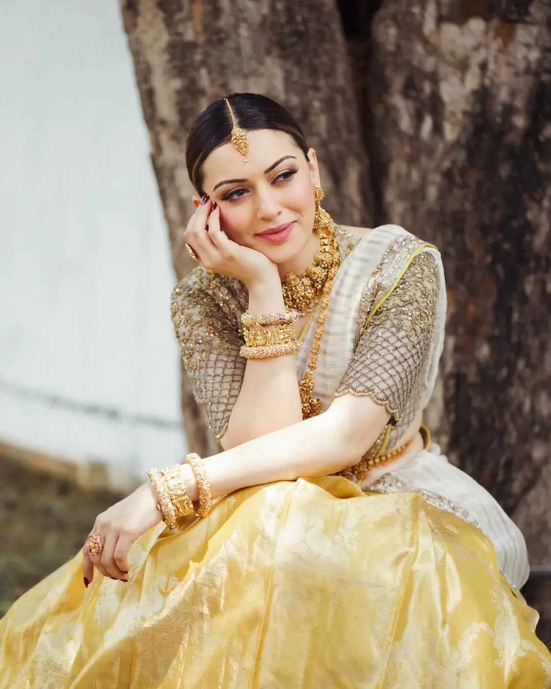 Hansika Motwani Cute Looks in Half Saree