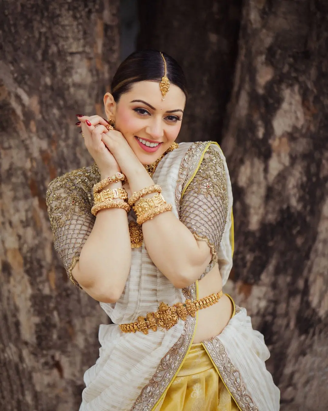 Hansika Motwani Cute Looks in Half Saree