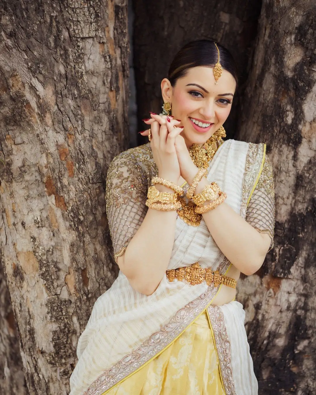 Hansika Motwani Cute Looks in Half Saree