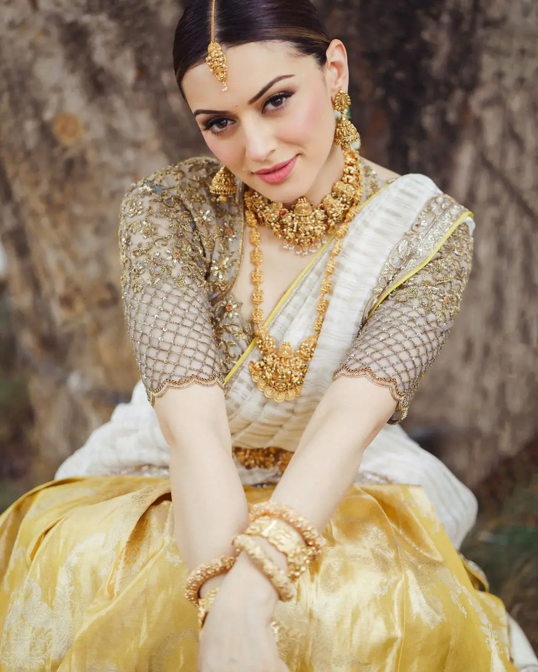 Hansika Motwani Cute Looks in Half Saree