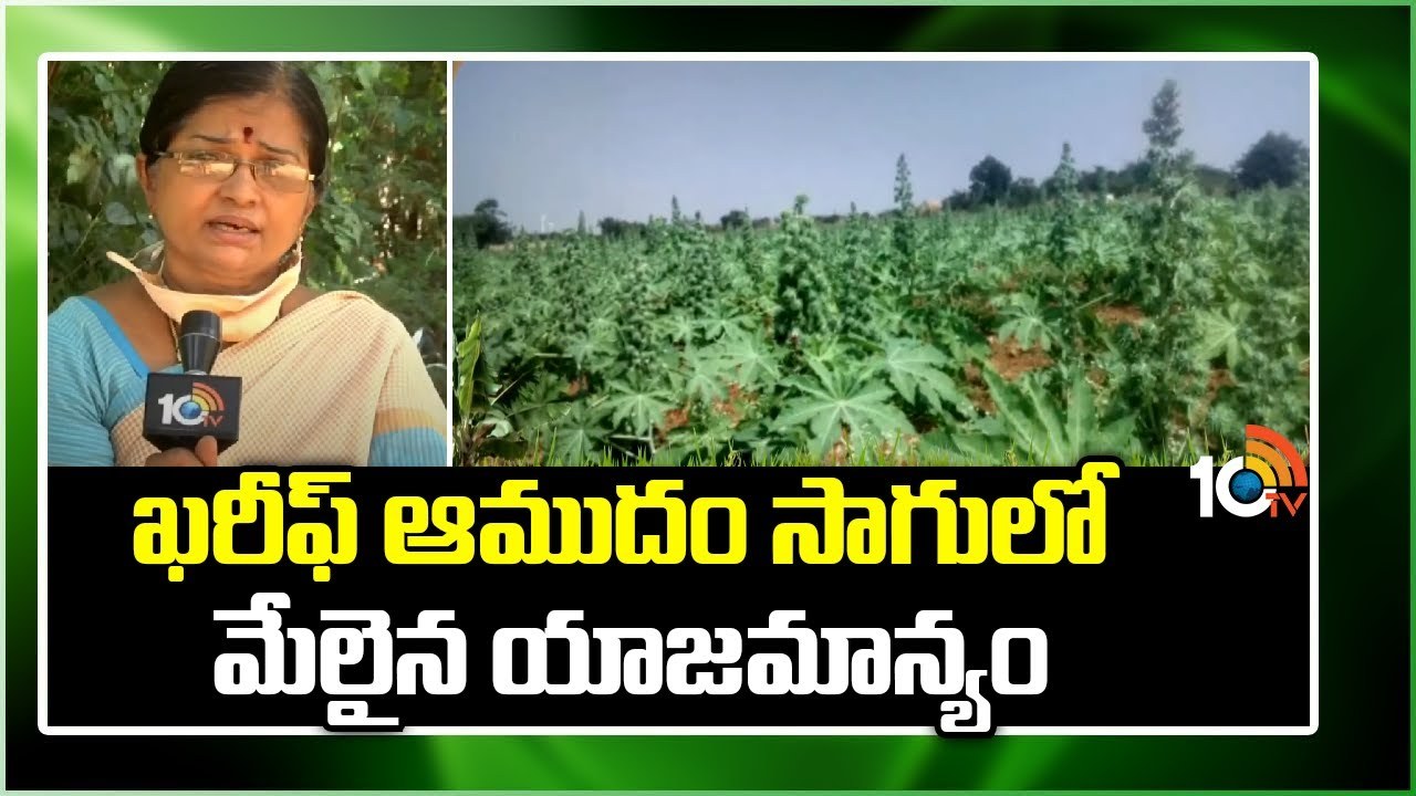 Kharif Castor Cultivation : ఖరీఫ్ ఆముదం సాగులో మేలైన యాజమాన్యం Kharif Castor Cultivation : ఖరీఫ్ ఆముదం సాగులో మేలైన యాజమాన్యం