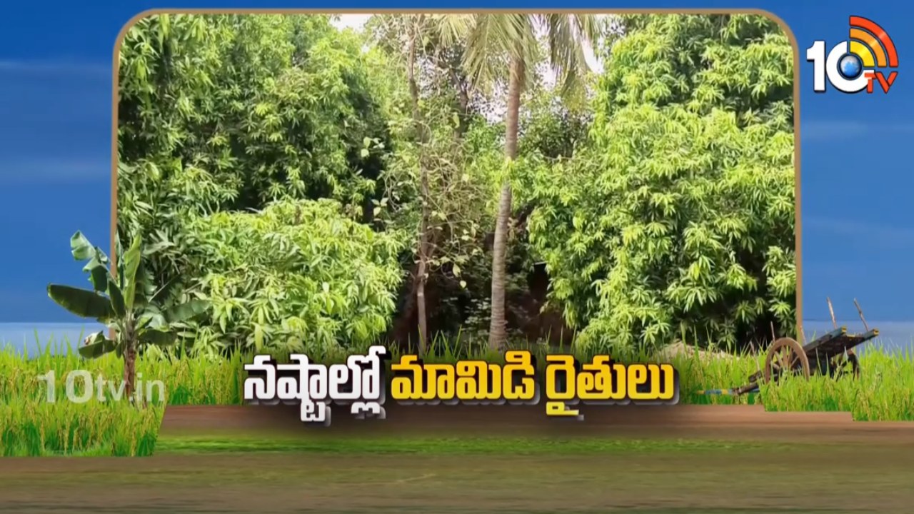 Mango Farmers : నష్టాల్లో మామిడి.. పెట్టుబడి కూడా రాదంటున్న రైతులు Mango Farmers : నష్టాల్లో మామిడి.. పెట్టుబడి కూడా రాదంటున్న రైతులు