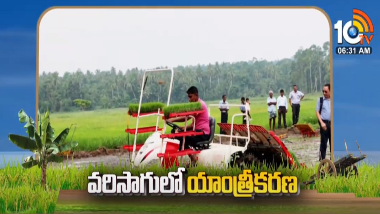 Paddy Cultivation : వరిసాగులో యాంత్రికరణతో కూలీల కొరతకు చెక్.. డబ్బు కలిసొస్తుందంటున్న శాస్త్రవేత్తలు Paddy Cultivation : వరిసాగులో యాంత్రికరణతో కూలీల కొరతకు చెక్.. డబ్బు కలిసొస్తుందంటున్న శాస్త్రవేత్తలు
