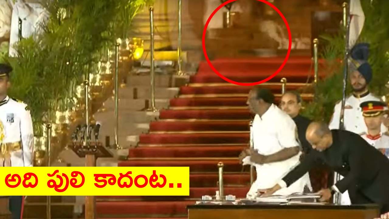 మిస్టరీ వీడింది..! రాష్ట్రపతి భవన్లో పులి.. క్లారిటీ ఇచ్చిన ఢిల్లీ పోలీసులు మిస్టరీ వీడింది..! రాష్ట్రపతి భవన్లో పులి.. క్లారిటీ ఇచ్చిన ఢిల్లీ పోలీసులు
