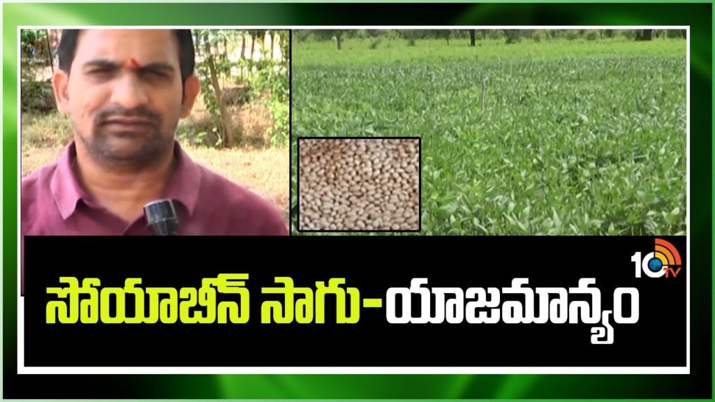 Soybean Cultivation Methods For Kharif Season