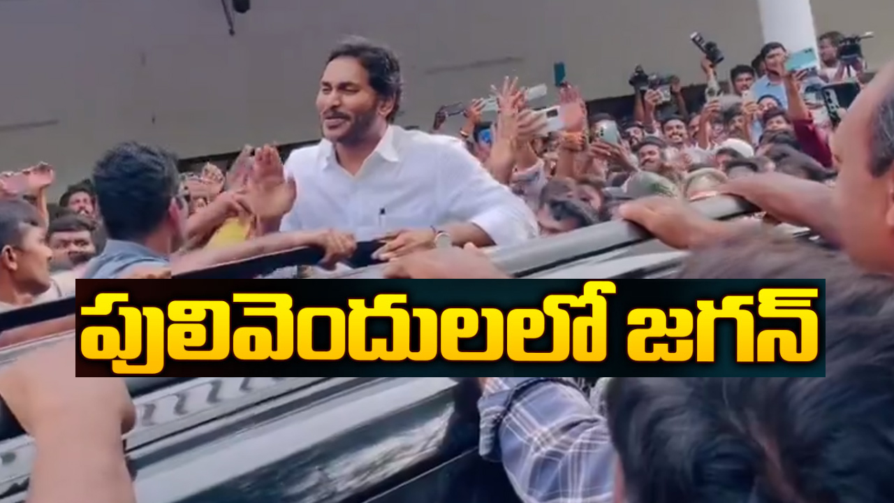 పులివెందుల చేరుకున్న వైఎస్ జగన్.. భారీ ఎత్తున తరలివచ్చిన అభిమానులు పులివెందుల చేరుకున్న వైఎస్ జగన్.. భారీ ఎత్తున తరలివచ్చిన అభిమానులు