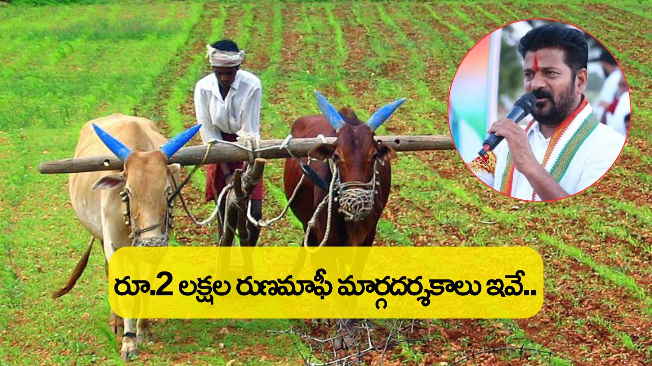 గుడ్న్యూస్.. పంటల రుణమాఫీ మార్గదర్శకాలు విడుదల చేసిన ప్రభుత్వం గుడ్న్యూస్.. పంటల రుణమాఫీ మార్గదర్శకాలు విడుదల చేసిన ప్రభుత్వం