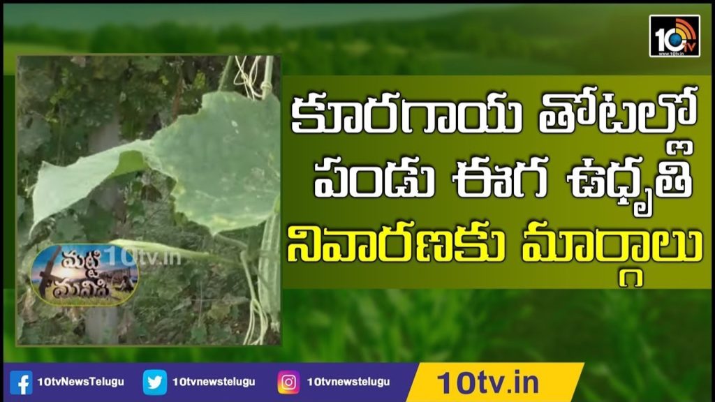 Agri Scientist Ramprasad