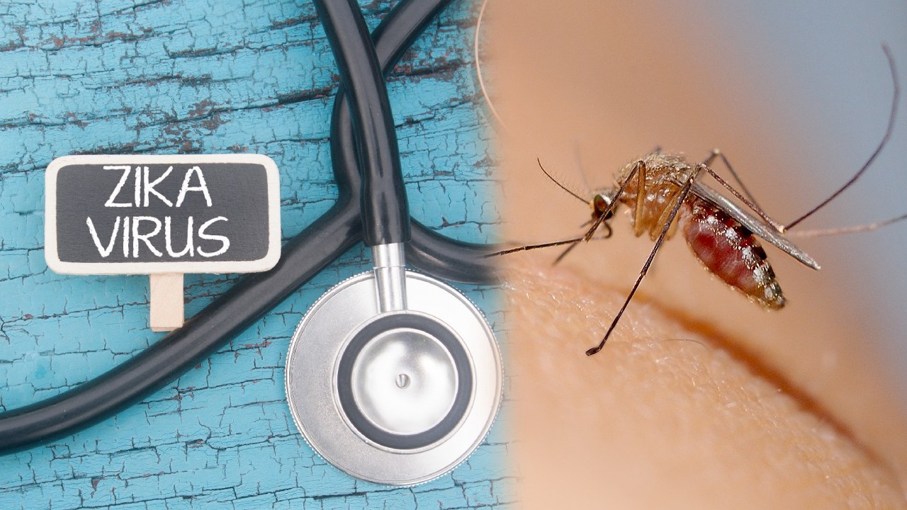 Zika Virus : గర్భధారణ సమయంలో జికా వైరస్పై అవగాహన చాలా అవసరం : ఫెర్నాండెజ్ హాస్పిటల్ Zika Virus : గర్భధారణ సమయంలో జికా వైరస్పై అవగాహన చాలా అవసరం : ఫెర్నాండెజ్ హాస్పిటల్