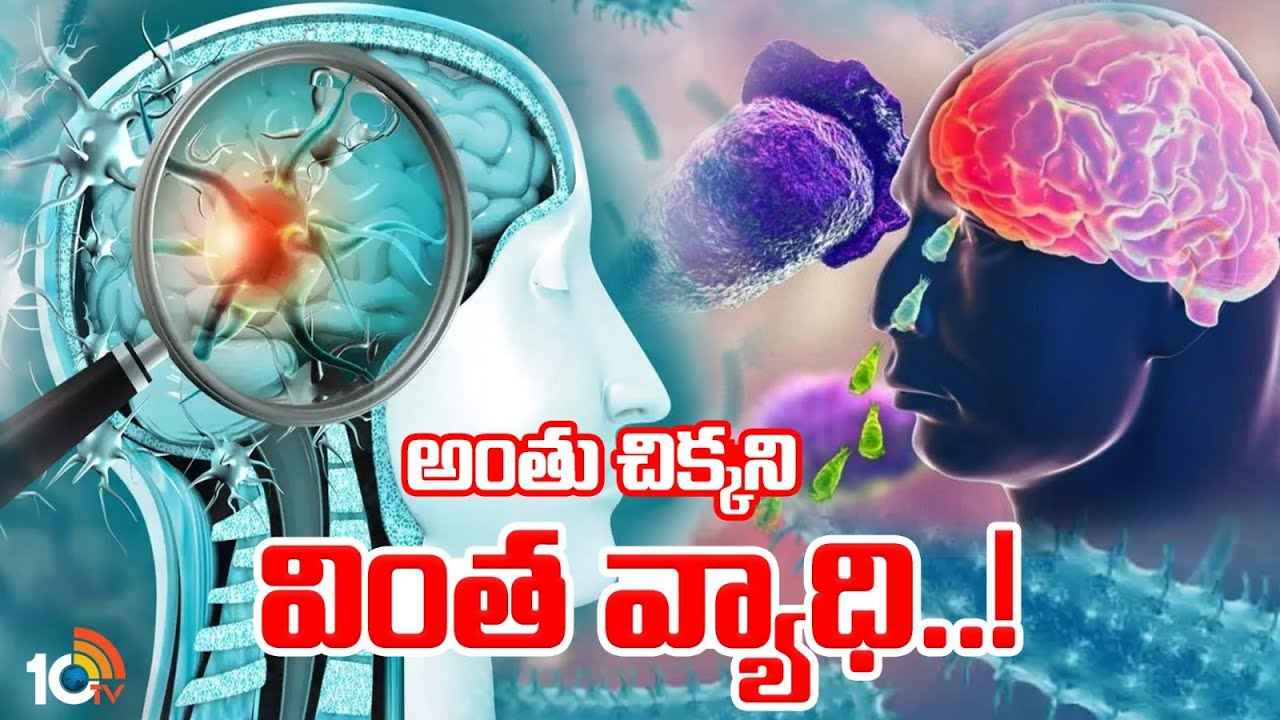 బ్రెయిన్ ఈటింగ్ అమీబా అంటే ఏంటి?