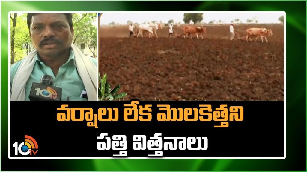Cotton Seeds Do Not Germinate