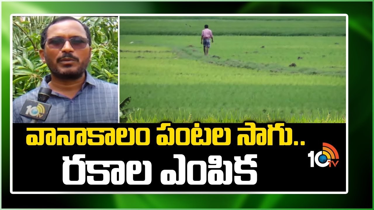 Monsoon Crops : వానాకాలం పంటల సాగు.. రకాల ఎన్నిక Monsoon Crops : వానాకాలం పంటల సాగు.. రకాల ఎన్నిక