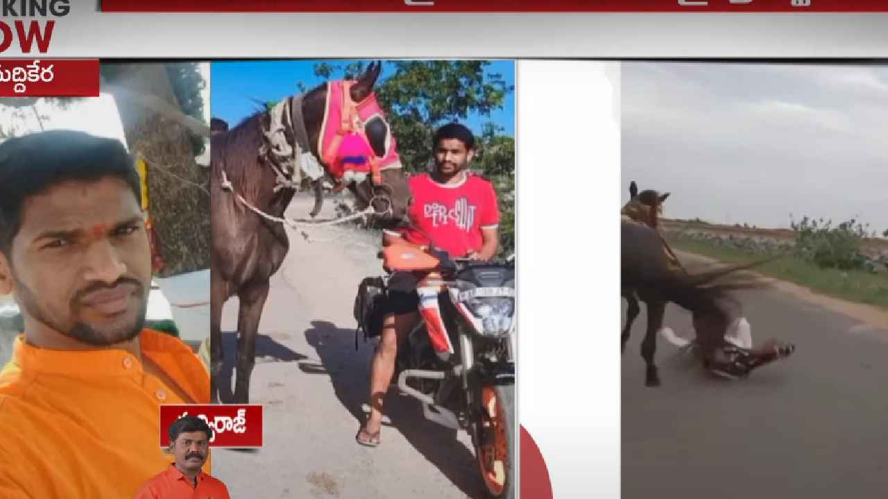 కర్నూలు జిల్లాలో తీవ్ర విషాదం.. గుర్రపు స్వారీ చేస్తూ యువకుడు దుర్మరణం కర్నూలు జిల్లాలో తీవ్ర విషాదం.. గుర్రపు స్వారీ చేస్తూ యువకుడు దుర్మరణం