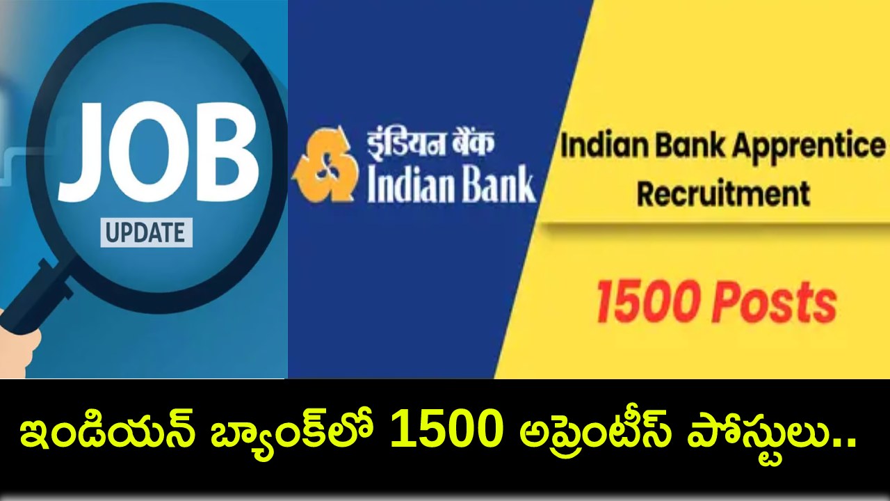 Indian Bank Apprentice Posts : ఇండియన్ బ్యాంక్ అప్రెంటీస్ రిక్రూట్మెంట్.. 1500 పోస్టులకు దరఖాస్తు చేసుకోండి.. పూర్తి వివరాలివే..! Indian Bank Apprentice Posts : ఇండియన్ బ్యాంక్ అప్రెంటీస్ రిక్రూట్మెంట్.. 1500 పోస్టులకు దరఖాస్తు చేసుకోండి.. పూర్తి వివరాలివే..!