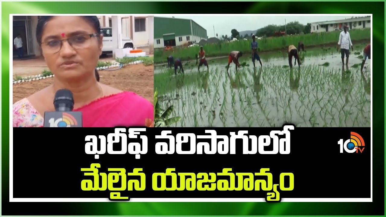 Kharif Paddy Cultivation : ఖరీఫ్ వరిసాగులో మేలైన యాజమాన్యం Kharif Paddy Cultivation : ఖరీఫ్ వరిసాగులో మేలైన యాజమాన్యం
