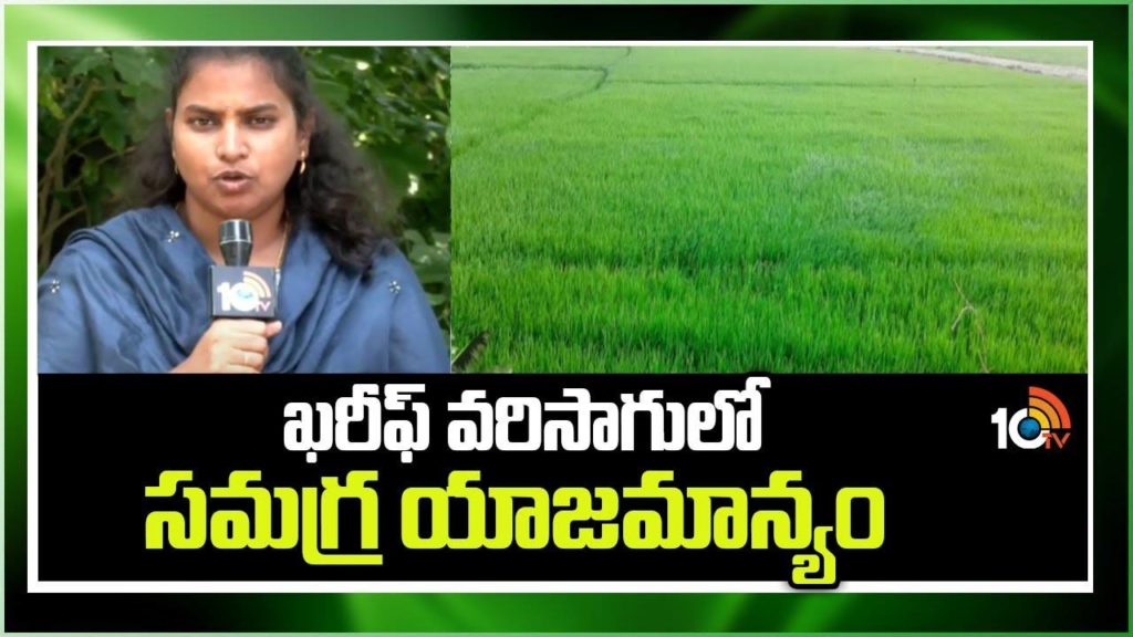 Kharif Paddy Cultivation