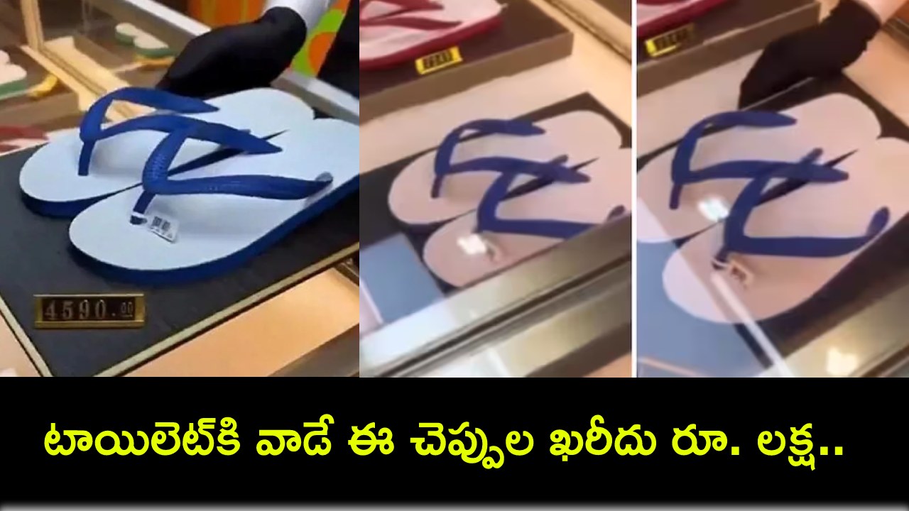 Trendy Slippers : కువైట్ స్టోర్లో ‘ట్రెండీ స్లిప్పర్స్’ ధర రూ. 1 లక్ష అంట.. మేమైతే టాయిలెట్కి వాడతామంటున్న మనోళ్లు..! Trendy Slippers : కువైట్ స్టోర్లో ‘ట్రెండీ స్లిప్పర్స్’ ధర రూ. 1 లక్ష అంట.. మేమైతే టాయిలెట్కి వాడతామంటున్న మనోళ్లు..!