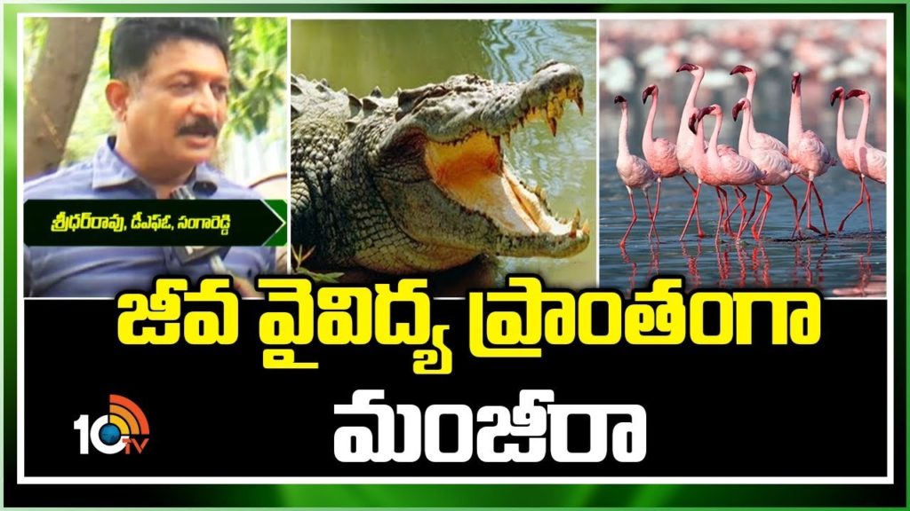 Manjeera Wildlife Sanctuary
