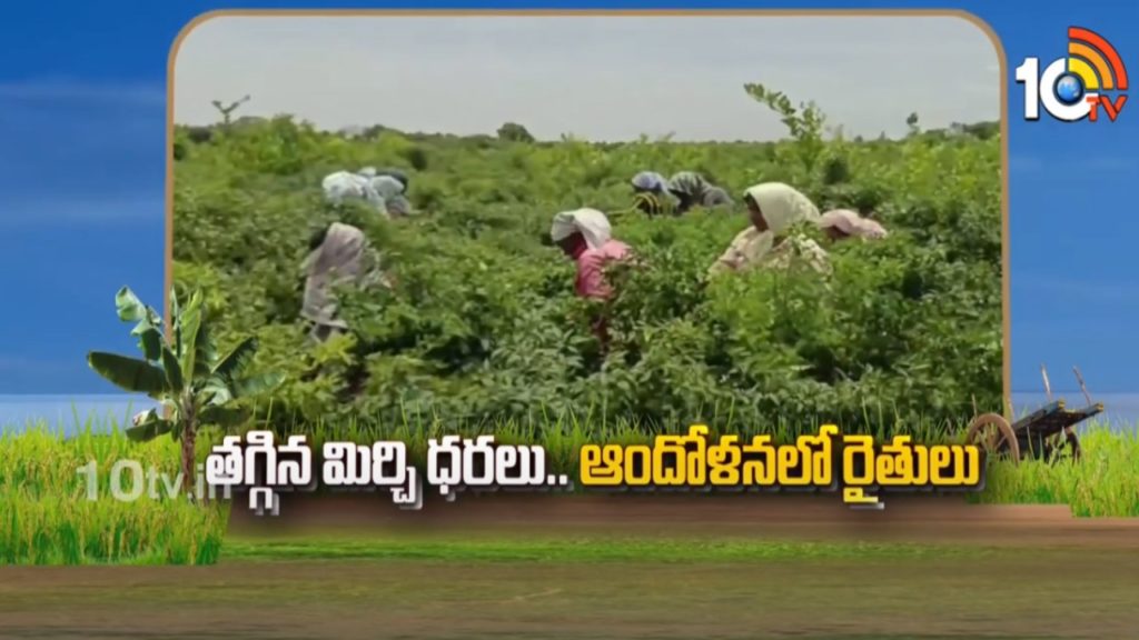 Mirchi Price Reduced