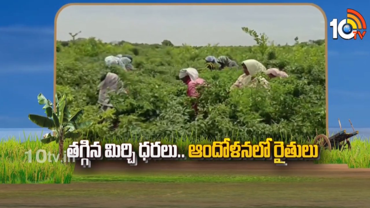 Mirchi Prices : తగ్గిన మిర్చి ధరలు.. ఆందోళనలో రైతులు Mirchi Prices : తగ్గిన మిర్చి ధరలు.. ఆందోళనలో రైతులు