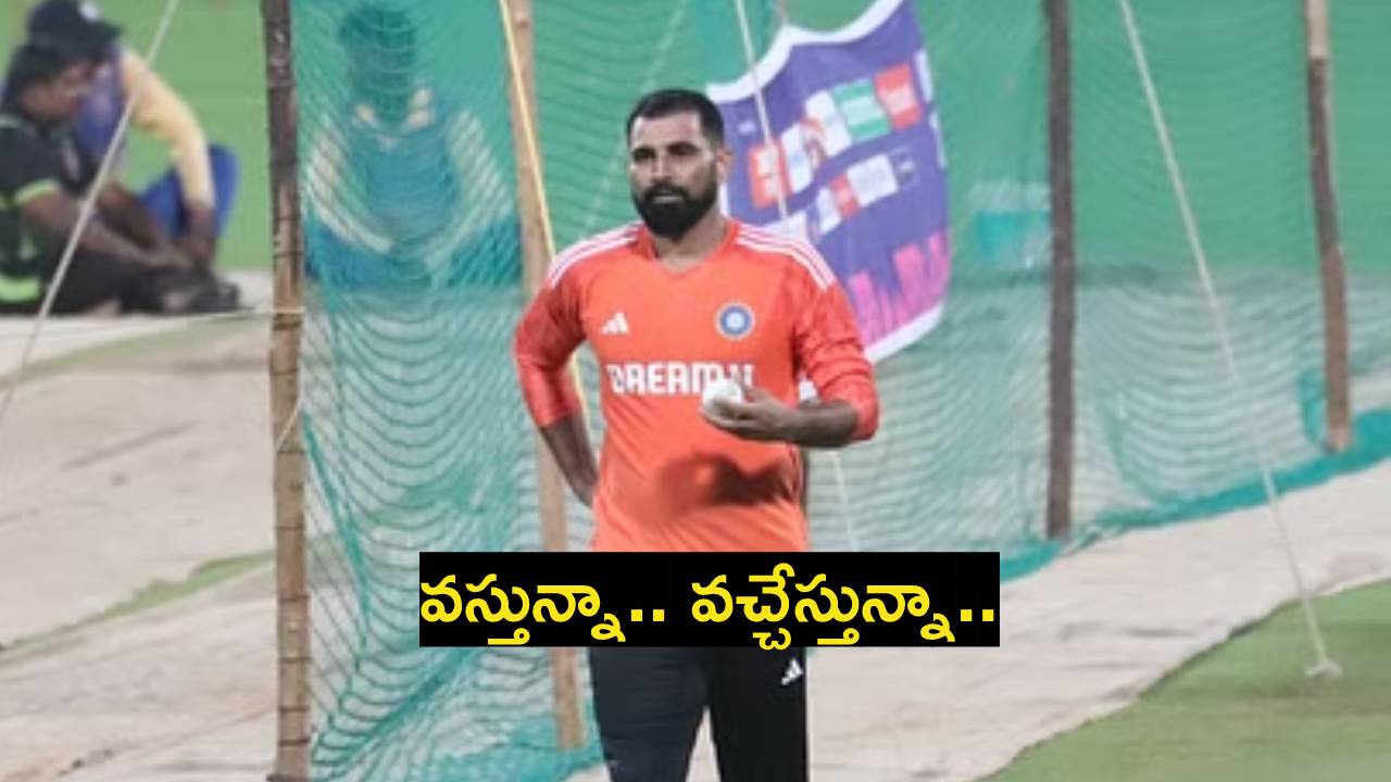 Mohammed Shami : టీమ్ఇండియా అభిమానులకు శుభవార్త.. వికెట్ల వీరుడు మొదలెట్టాడు.. Mohammed Shami : టీమ్ఇండియా అభిమానులకు శుభవార్త.. వికెట్ల వీరుడు మొదలెట్టాడు..