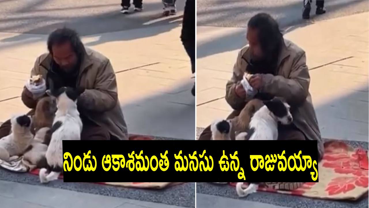 Video: ఆకలి బాధతో అల్లాడిపోతున్నప్పటికీ ఇతడు చేసిన పనికి ప్రపంచం ఫిదా Video: ఆకలి బాధతో అల్లాడిపోతున్నప్పటికీ ఇతడు చేసిన పనికి ప్రపంచం ఫిదా