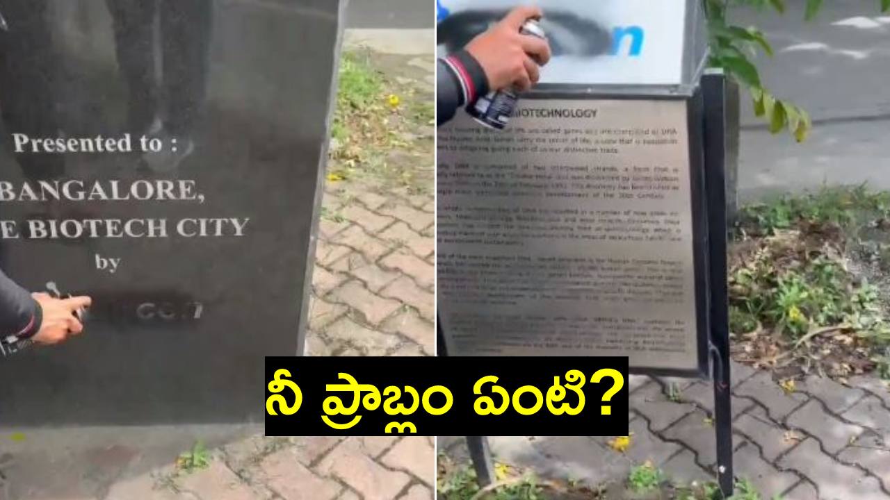 Viral Video: నలుపు రంగు దుస్తులు వేసుకువచ్చి.. నల్లని పెయింట్ స్ప్రే చేసి వెళ్లిన యువకుడు Viral Video: నలుపు రంగు దుస్తులు వేసుకువచ్చి.. నల్లని పెయింట్ స్ప్రే చేసి వెళ్లిన యువకుడు