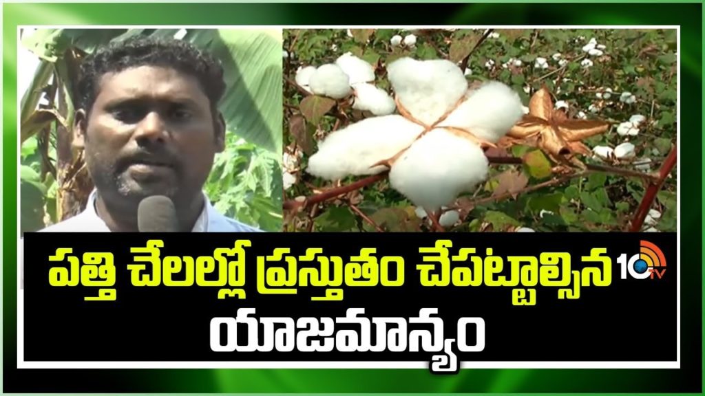 Ownership in Cotton Field