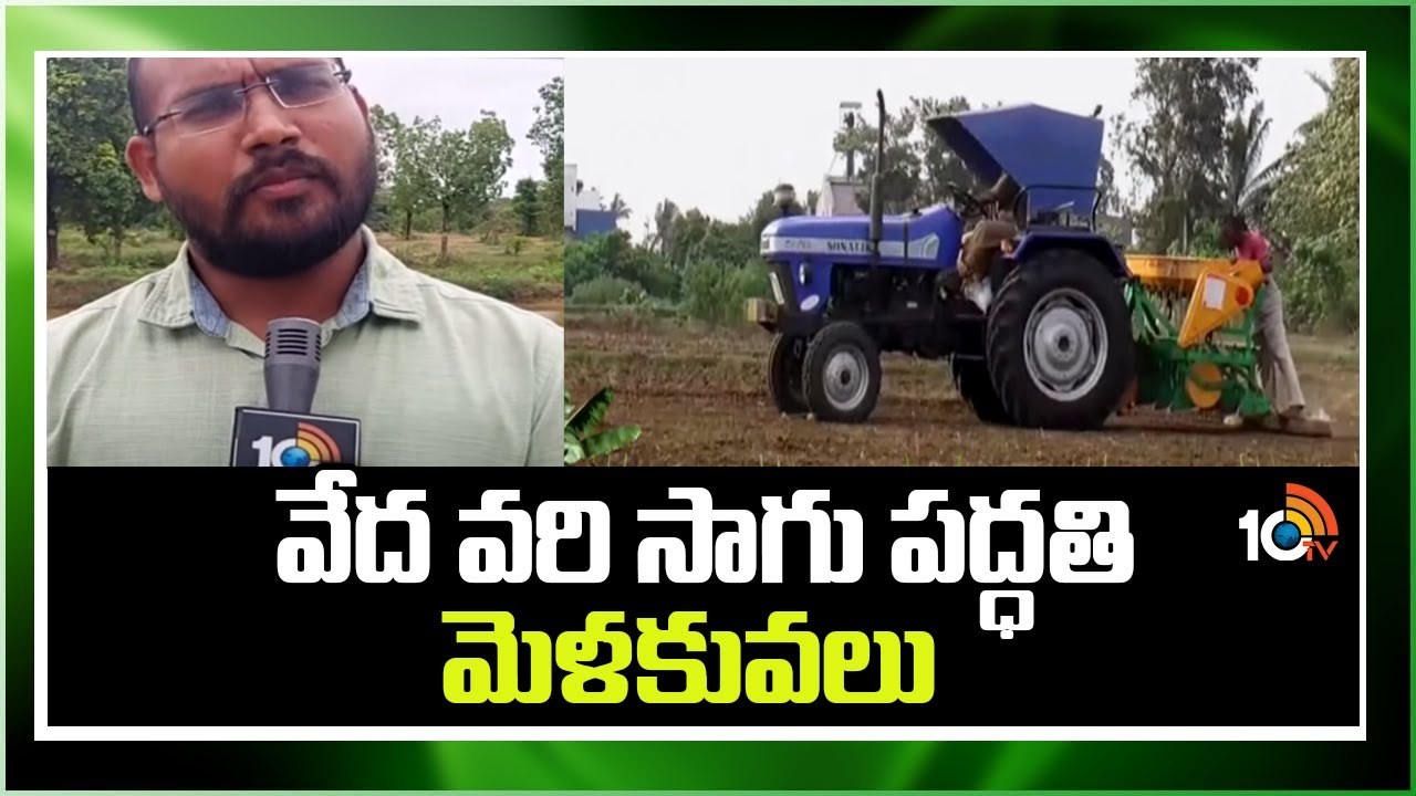 Paddy Cultivation : నారులేదు.. నాటుతో పని అసలే లేదు.. నేరుగా వెదజల్లే పద్ధతిలో వరిసాగు Paddy Cultivation : నారులేదు.. నాటుతో పని అసలే లేదు.. నేరుగా వెదజల్లే పద్ధతిలో వరిసాగు