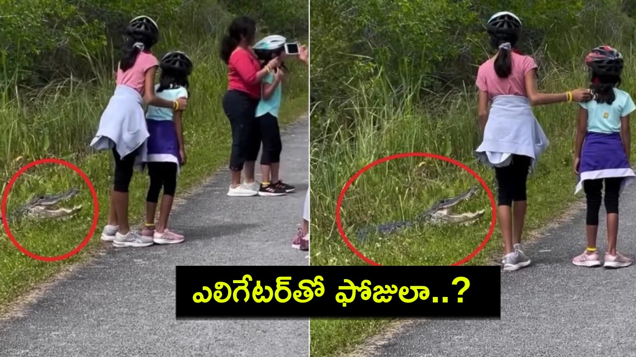 Alligator Viral : మీరు అసలు తల్లిదండ్రులేనా.. ఎలిగేటర్తో ఫోజులా..? పిల్లల ప్రాణాలతో చెలగాటాలా? Alligator Viral : మీరు అసలు తల్లిదండ్రులేనా.. ఎలిగేటర్తో ఫోజులా..? పిల్లల ప్రాణాలతో చెలగాటాలా?