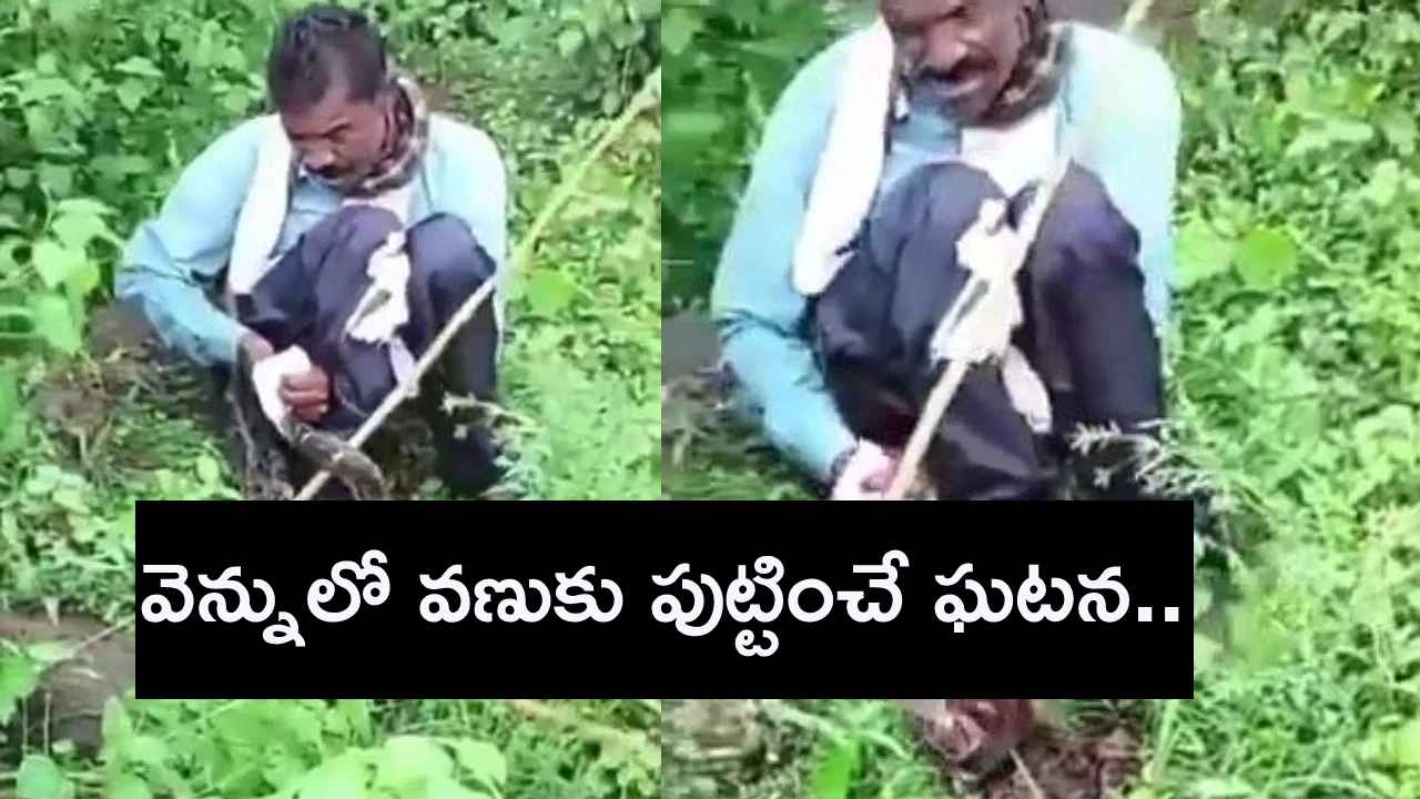 మనిషిని మింగేసేందుకు ప్రయత్నించిన కొండచిలువ.. ఆ తర్వాత ఏం జరిగిందంటే.. వెన్నులో వణుకుపుట్టించే వీడియో మనిషిని మింగేసేందుకు ప్రయత్నించిన కొండచిలువ.. ఆ తర్వాత ఏం జరిగిందంటే.. వెన్నులో వణుకుపుట్టించే వీడియో