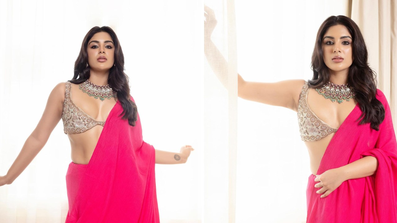 Samyuktha : చీరకట్టులో అదరగొడుతున్న సంయుక్త..