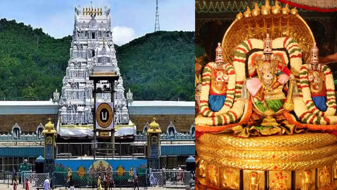 TTD E Auction : శ్రీవారి భక్తులకు శుభవార్త.. కెమెరాలను వేలం వేయనున్న టీటీడీ.. వివరాలు ఇవే.. TTD E Auction : శ్రీవారి భక్తులకు శుభవార్త.. కెమెరాలను వేలం వేయనున్న టీటీడీ.. వివరాలు ఇవే..