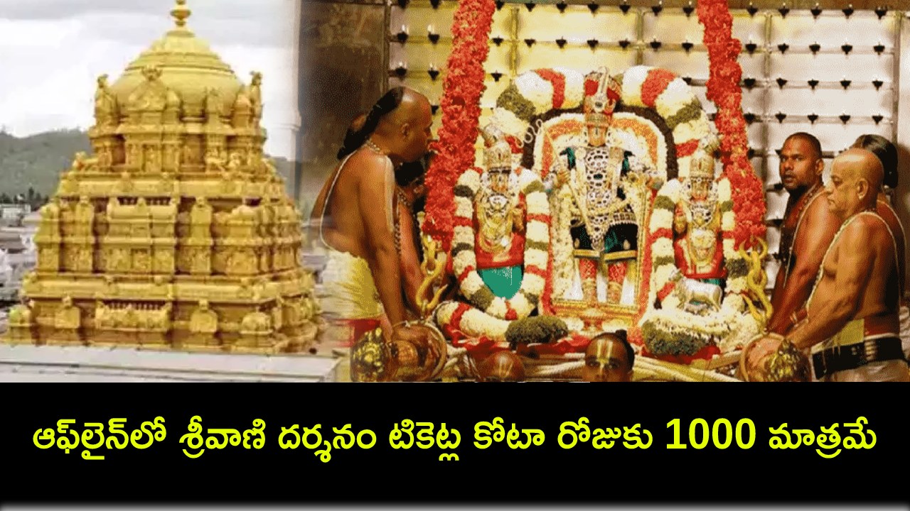TTD Srivani Tickets : ఆఫ్లైన్లో శ్రీవాణి దర్శనం టికెట్ల కోటా రోజుకు 1000 మాత్రమే TTD Srivani Tickets : ఆఫ్లైన్లో శ్రీవాణి దర్శనం టికెట్ల కోటా రోజుకు 1000 మాత్రమే