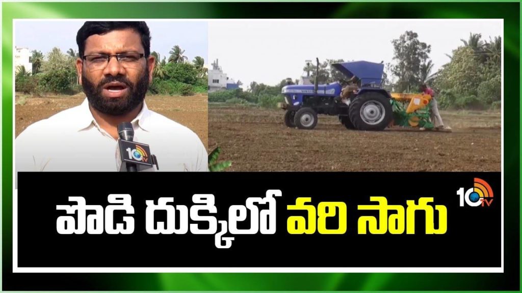 Tips for dry sowing paddy