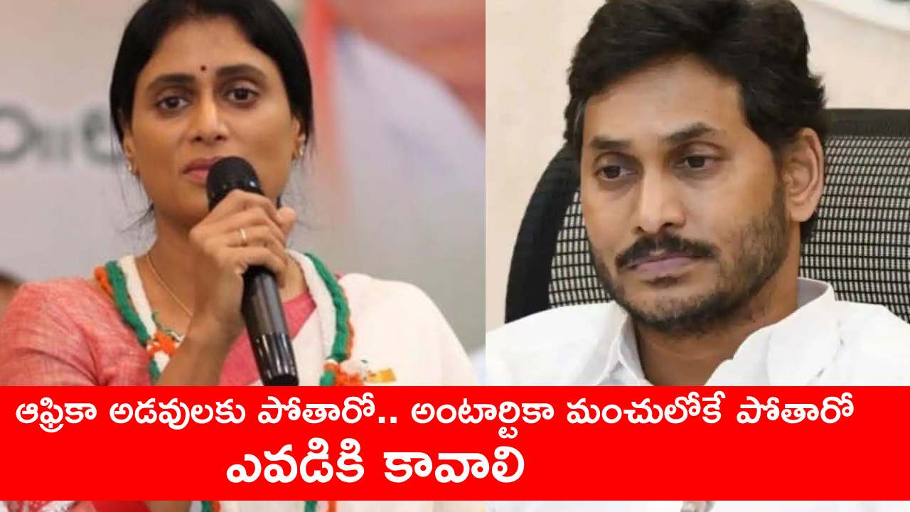 YS Sharmila : జగన్ మోహన్ రెడ్డిపై తీవ్రస్థాయిలో విమర్శలు చేసిన వైఎస్ షర్మిల.. తక్షణమే రాజీనామా చేయాలంటూ డిమాండ్ YS Sharmila : జగన్ మోహన్ రెడ్డిపై తీవ్రస్థాయిలో విమర్శలు చేసిన వైఎస్ షర్మిల.. తక్షణమే రాజీనామా చేయాలంటూ డిమాండ్