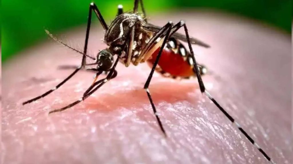 Zika virus