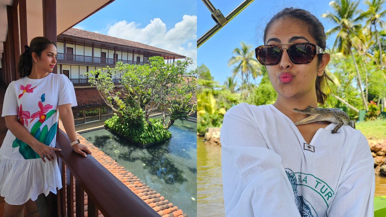 Avika Gor : చిన్ని మొసలితో అవికా గోర్..