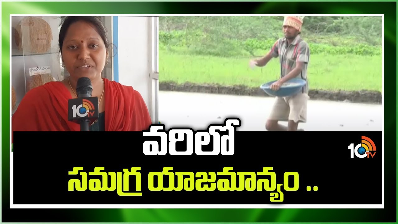 Paddy Crop : తెలుగు రాష్ట్రాల్లో ఊపందుకున్న వరినాట్లు – తొలిదశలో వచ్చే చీడపీడలు, ఎరువుల యాజమాన్యం Paddy Crop : తెలుగు రాష్ట్రాల్లో ఊపందుకున్న వరినాట్లు – తొలిదశలో వచ్చే చీడపీడలు, ఎరువుల యాజమాన్యం