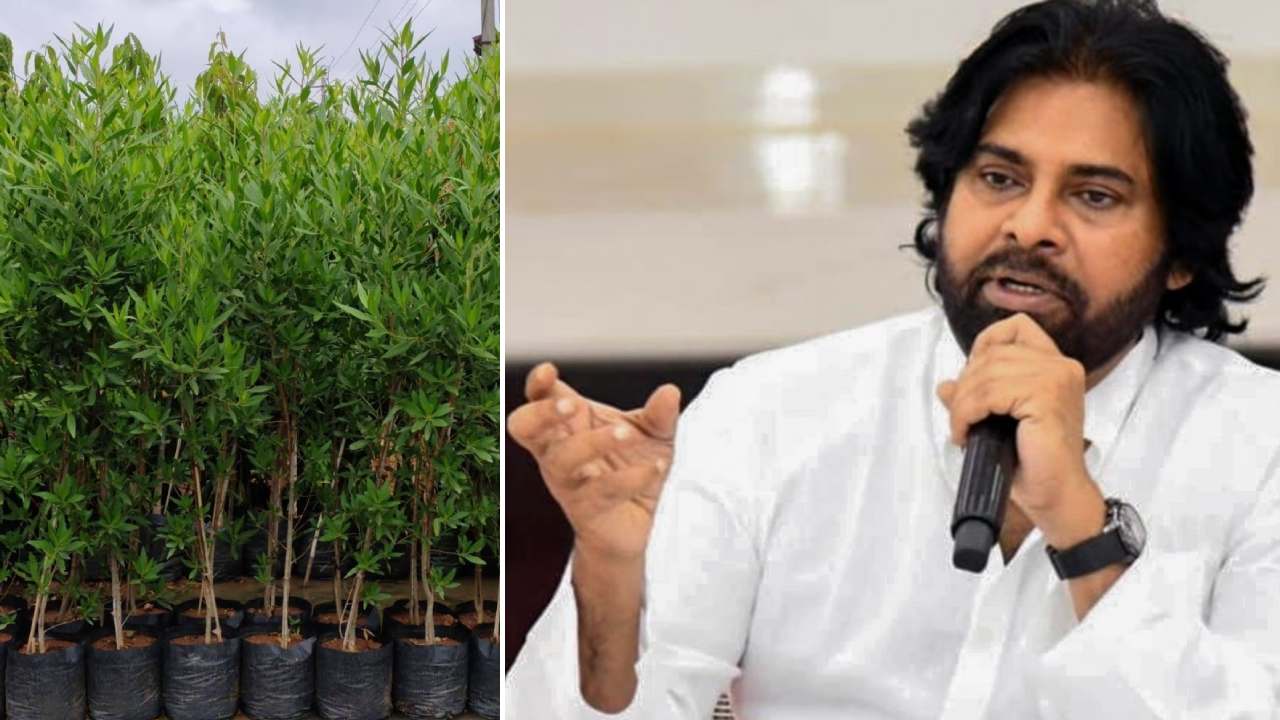 Pawan Kalyan : అలాంటి మొక్కలను నాటకండి.. డిప్యూటీ సీఎం పవన్ కల్యాణ్ వీడియో సందేశం.. Pawan Kalyan : అలాంటి మొక్కలను నాటకండి.. డిప్యూటీ సీఎం పవన్ కల్యాణ్ వీడియో సందేశం..