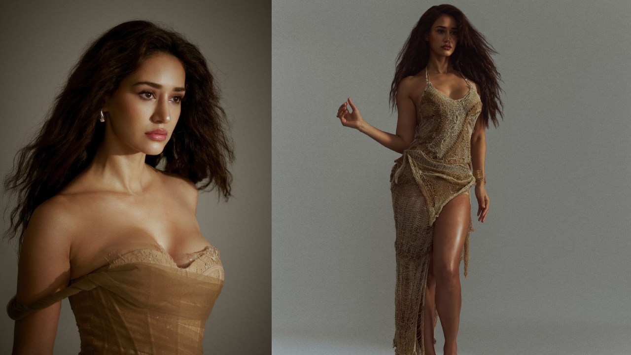 Disha Patani : అందాలతో వల వేస్తున్న దిశా పటాని..