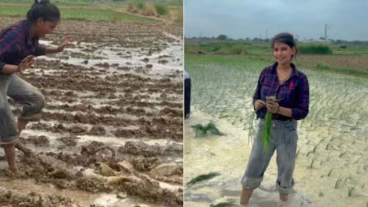 Viral video : పొలంలో భారీ కొండచిలువ.. ఓ ఆటాడుకున్న యువతి.. వీడియో వైరల్ Viral video : పొలంలో భారీ కొండచిలువ.. ఓ ఆటాడుకున్న యువతి.. వీడియో వైరల్